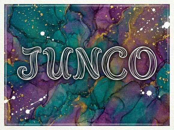 Junco: The Expressive Display Typeface for Modern Editorial Design